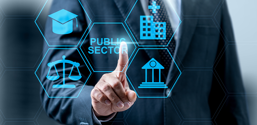 GenAI in the Public Sector