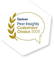 2025 年 Gartner® Peer Insights™《客户之声：数据集成工具》